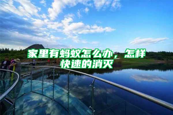 家里有螞蟻怎么辦,怎樣快速的消滅