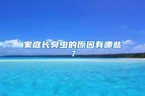 家庭長臭蟲的原因有哪些?