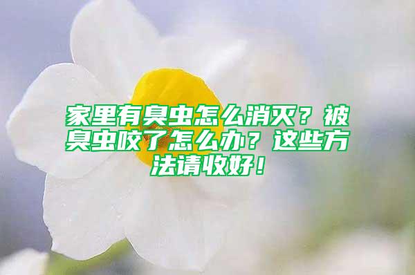 家里有臭蟲怎么消滅？被臭蟲咬了怎么辦？這些方法請收好！