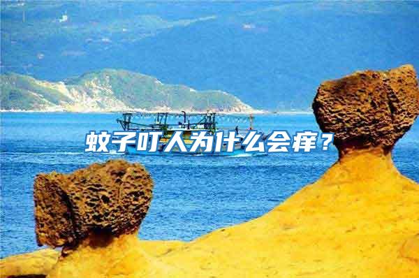 蚊子叮人為什么會癢？