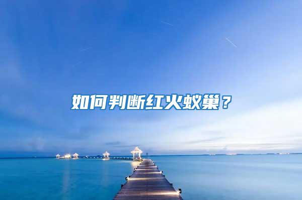 如何判斷紅火蟻巢？