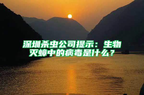 深圳殺蟲(chóng)公司提示:生物滅蟑中的病毒是什么?