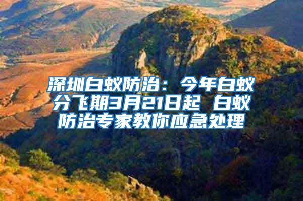 深圳白蟻防治:今年白蟻分飛期3月21日起 白蟻防治專家教你應急處理