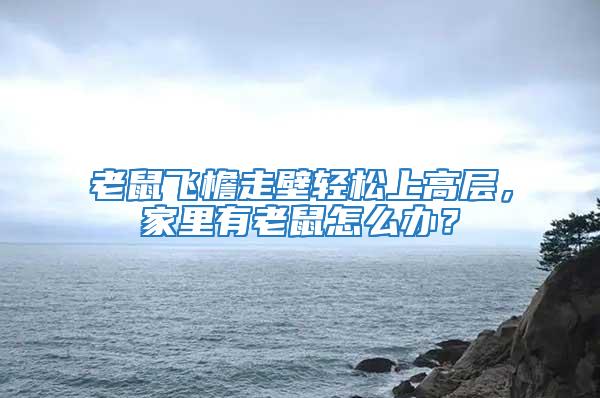 老鼠飛檐走壁輕松上高層,家里有老鼠怎么辦?