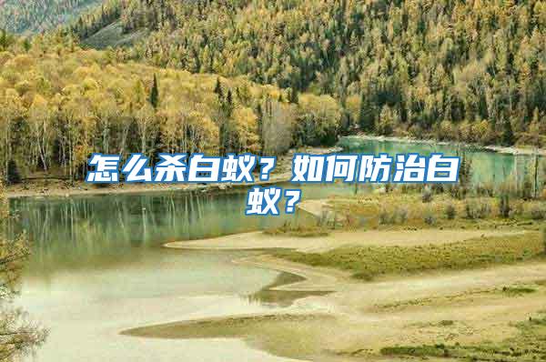 怎么殺白蟻？如何防治白蟻？
