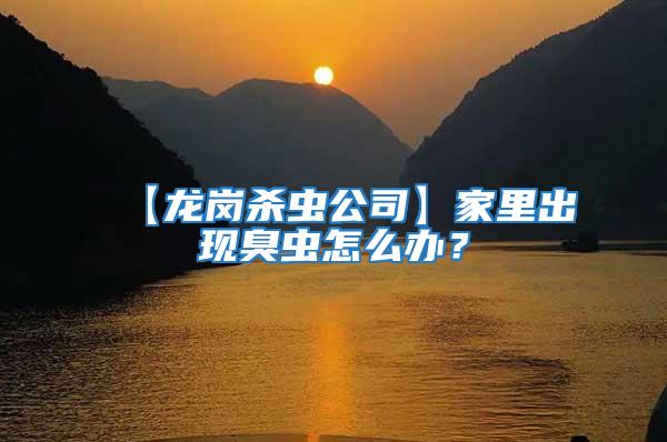 【龍崗殺蟲公司】家里出現臭蟲怎么辦?