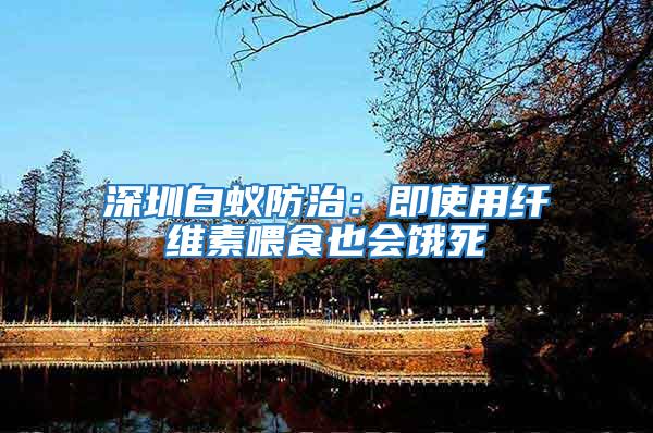 深圳白蟻防治:即使用纖維素喂食也會餓死