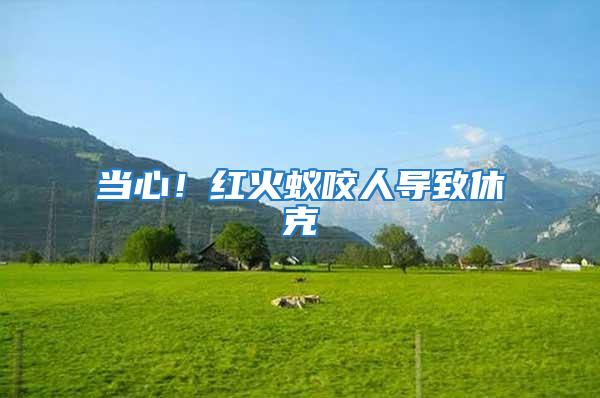 當心!紅火蟻咬人導致休克