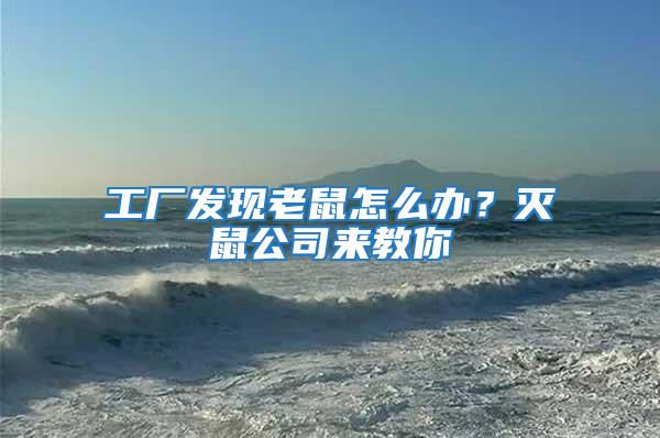 工廠發現老鼠怎么辦？滅鼠公司來教你