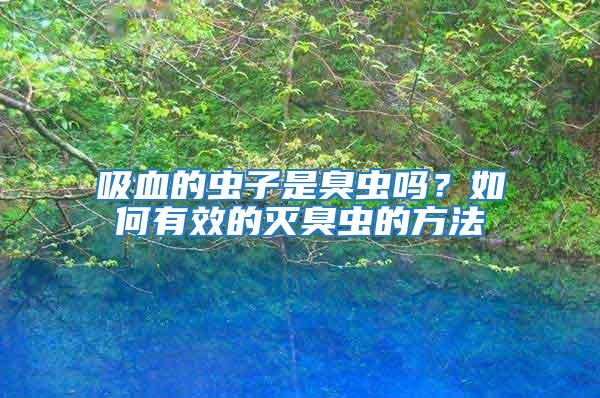 吸血的蟲子是臭蟲嗎?如何有效的滅臭蟲的方法