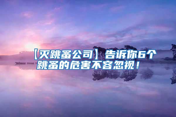 【滅跳蚤公司】告訴你6個跳蚤的危害不容忽視!