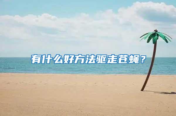 有什么好方法驅走蒼蠅?