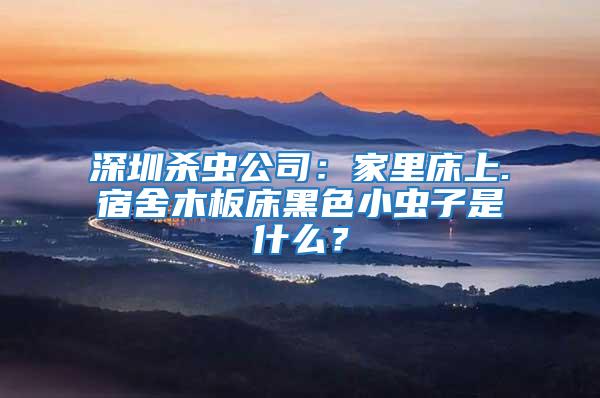 深圳殺蟲公司:家里床上.宿舍木板床黑色小蟲子是什么?