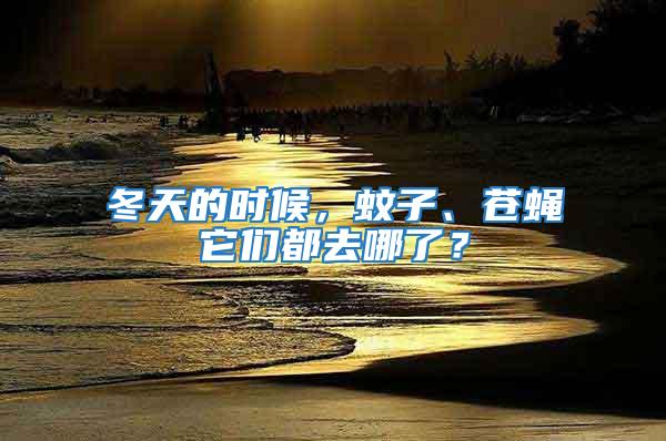 冬天的時候,蚊子、蒼蠅它們都去哪了?