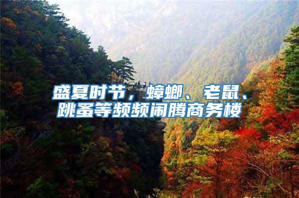 盛夏時節,蟑螂、老鼠、跳蚤等頻頻鬧騰商務樓