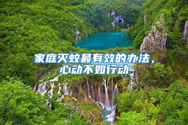 家庭滅蚊最有效的辦法,心動不如行動