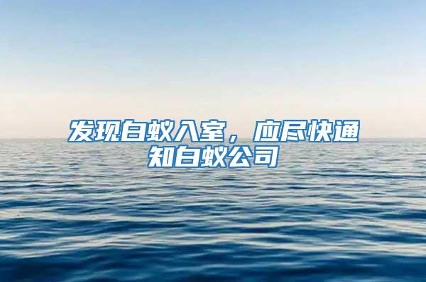 發現白蟻入室,應盡快通知白蟻公司