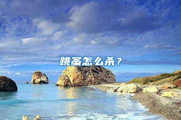 跳蚤怎么殺？