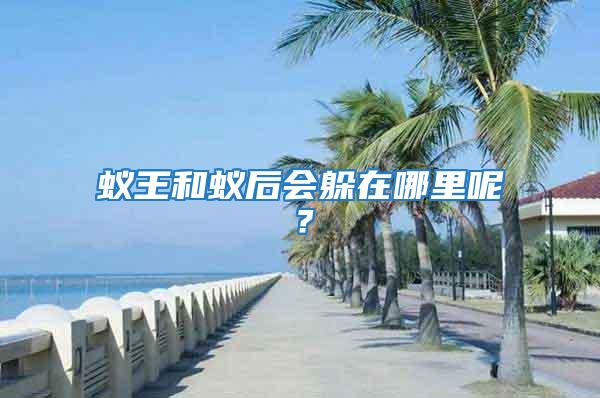 蟻王和蟻后會躲在哪里呢?