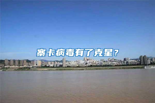 寨卡病毒有了克星？