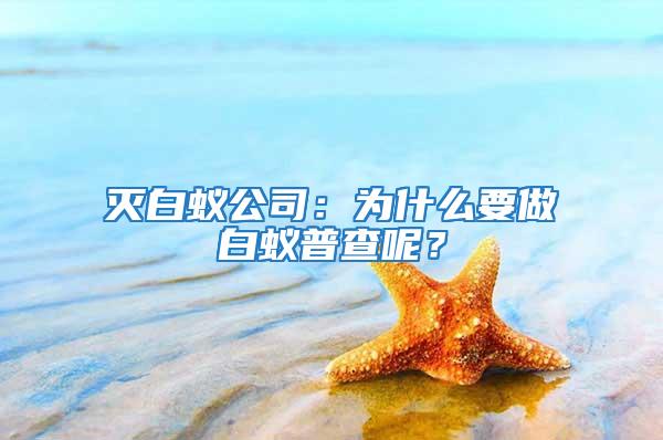 滅白蟻公司：為什么要做白蟻普查呢？