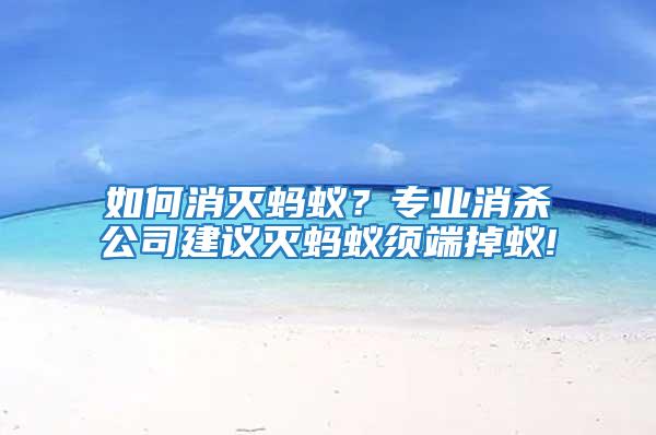 如何消滅螞蟻?專業消殺公司建議滅螞蟻須端掉蟻!