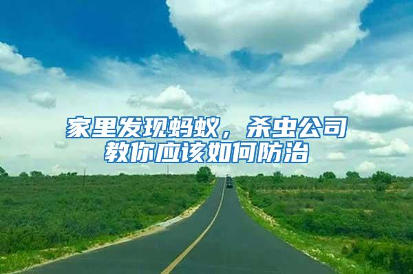 家里發(fā)現(xiàn)螞蟻,殺蟲公司教你應該如何防治