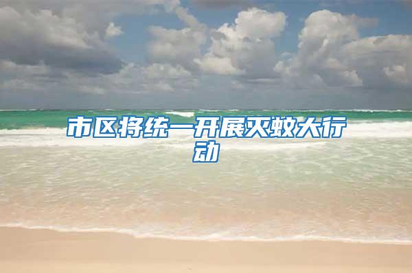 市區(qū)將統(tǒng)一開(kāi)展滅蚊大行動(dòng)
