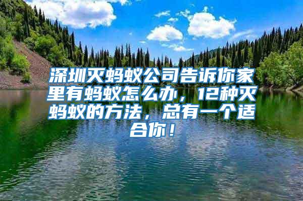 深圳滅螞蟻公司告訴你家里有螞蟻怎么辦，12種滅螞蟻的方法，總有一個適合你！