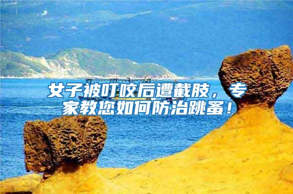 女子被叮咬后遭截肢，專家教您如何防治跳蚤！