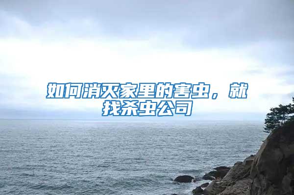 如何消滅家里的害蟲,就找殺蟲公司