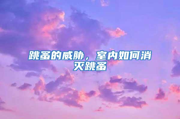 跳蚤的威脅，室內(nèi)如何消滅跳蚤