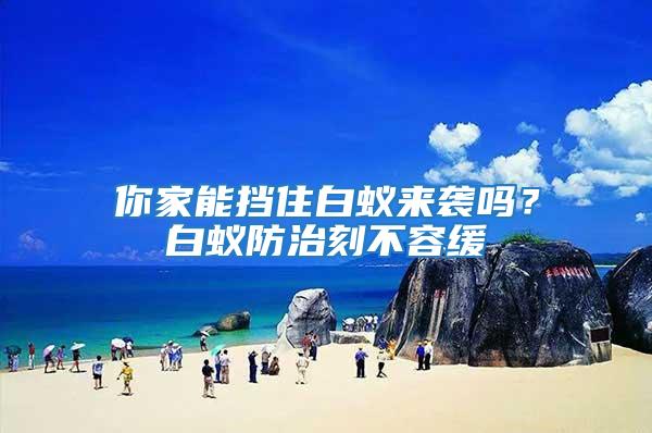 你家能擋住白蟻來(lái)襲嗎？白蟻防治刻不容緩