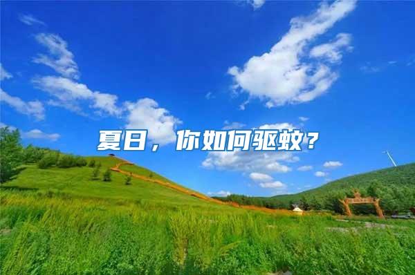 夏日，你如何驅(qū)蚊？
