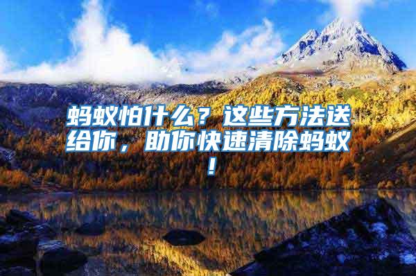 螞蟻怕什么?這些方法送給你,助你快速清除螞蟻!