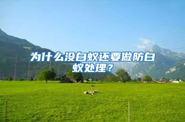 為什么沒白蟻還要做防白蟻處理?