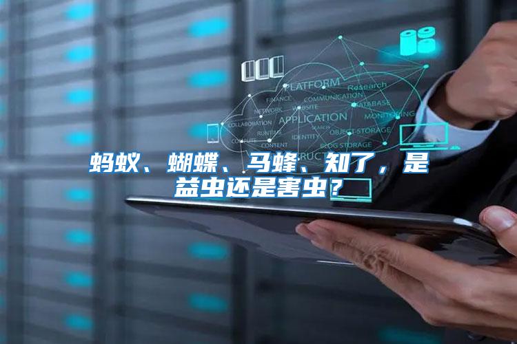 螞蟻、蝴蝶、馬蜂、知了，是益蟲還是害蟲？