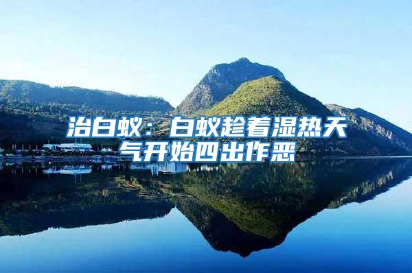 治白蟻:白蟻趁著濕熱天氣開始四出作惡