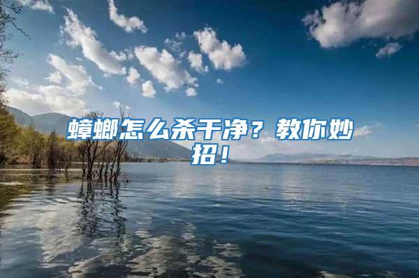蟑螂怎么殺干凈?教你妙招!