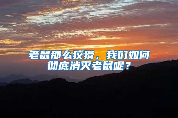 老鼠那么狡猾,我們?nèi)绾螐氐紫麥缋鲜竽兀?/></p>
             <p style=