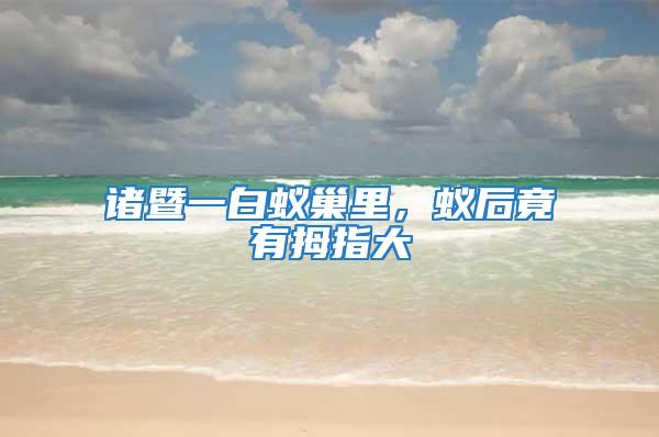 諸暨一白蟻巢里,蟻后竟有拇指大