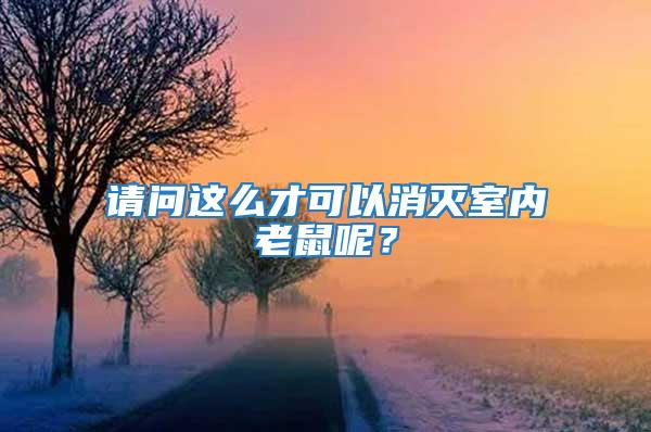 請(qǐng)問(wèn)這么才可以消滅室內(nèi)老鼠呢？