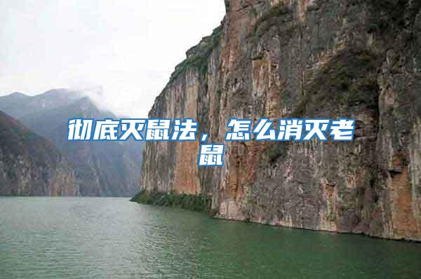 徹底滅鼠法,怎么消滅老鼠