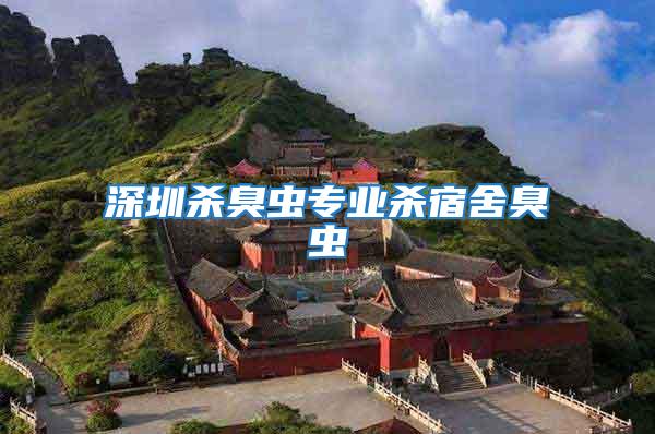 深圳殺臭蟲(chóng)專業(yè)殺宿舍臭蟲(chóng)