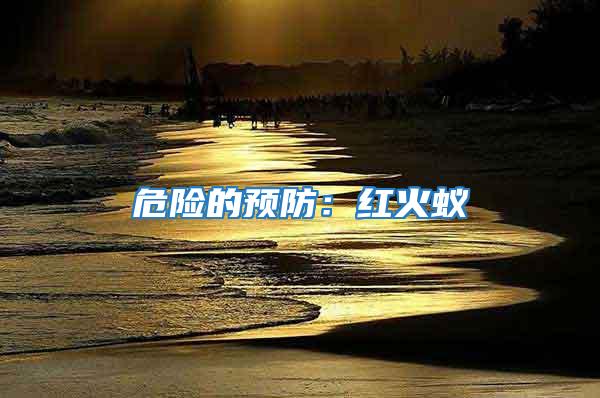 危險的預防:紅火蟻