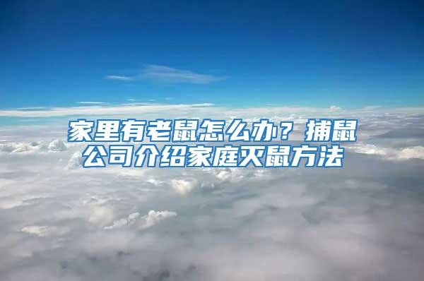 家里有老鼠怎么辦?捕鼠公司介紹家庭滅鼠方法