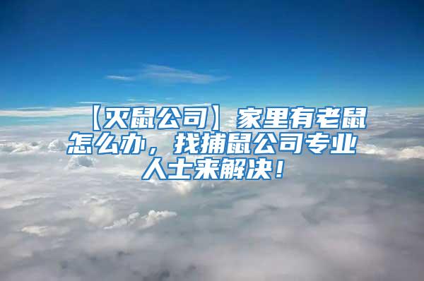 【滅鼠公司】家里有老鼠怎么辦,找捕鼠公司專業人士來解決!