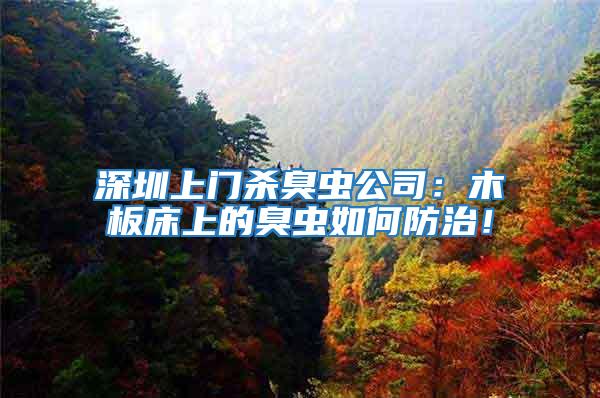 深圳上門殺臭蟲公司:木板床上的臭蟲如何防治!