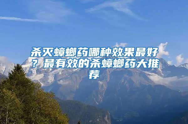 殺滅蟑螂藥哪種效果最好?最有效的殺蟑螂藥大推薦