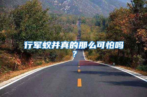 行軍蟻并真的那么可怕嗎?